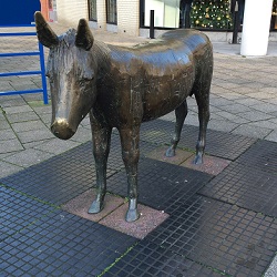 Ezel Heemskerk