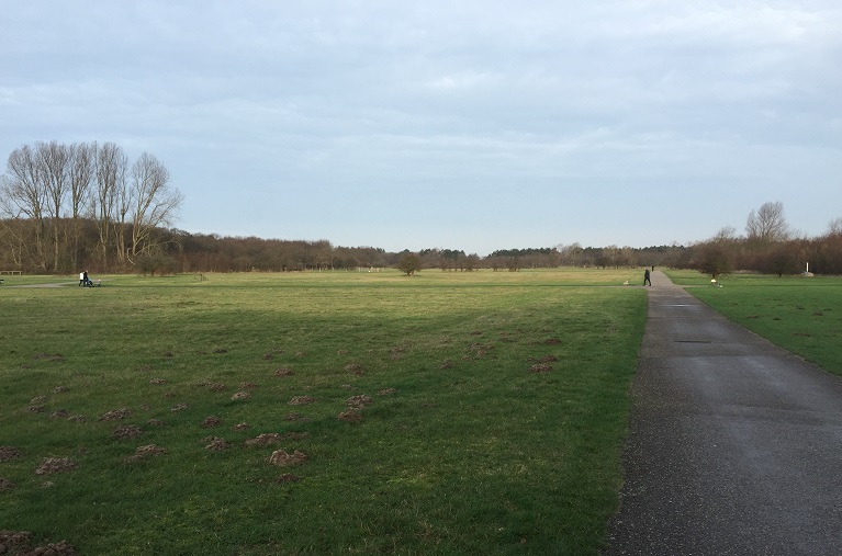 duinen castricum
